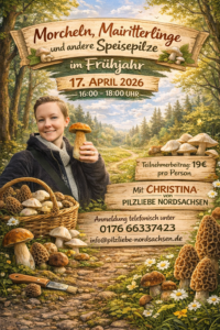 Pilzwanderung im Frühling bei Bitterfeld